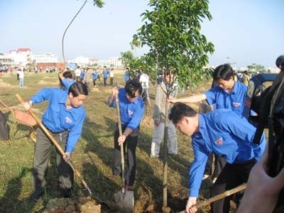 Sôi nổi các hoạt động ra quân Tháng Thanh niên 2012 - ảnh 3